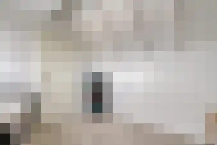 Snavel van Emekamp 10 Zwolle thumbnail 24