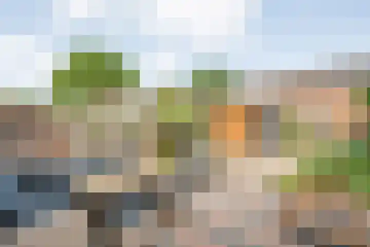 Snavel van Emekamp 10 Zwolle thumbnail 25