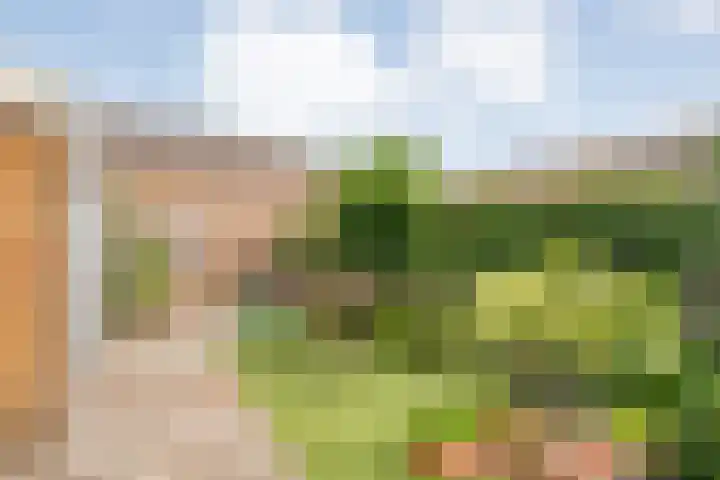 Snavel van Emekamp 10 Zwolle thumbnail 26