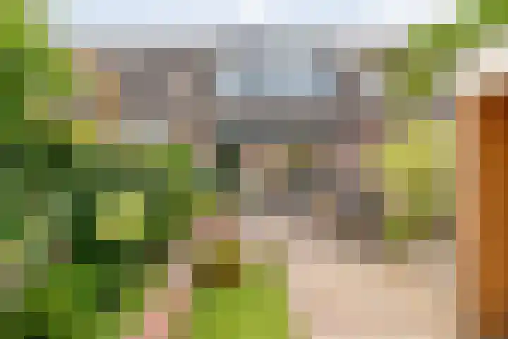 Snavel van Emekamp 10 Zwolle thumbnail 27