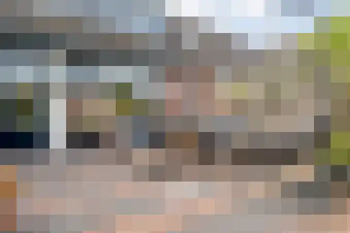Snavel van Emekamp 10 Zwolle thumbnail 28