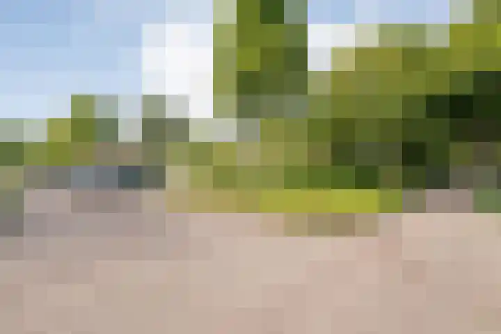 Snavel van Emekamp 10 Zwolle thumbnail 29