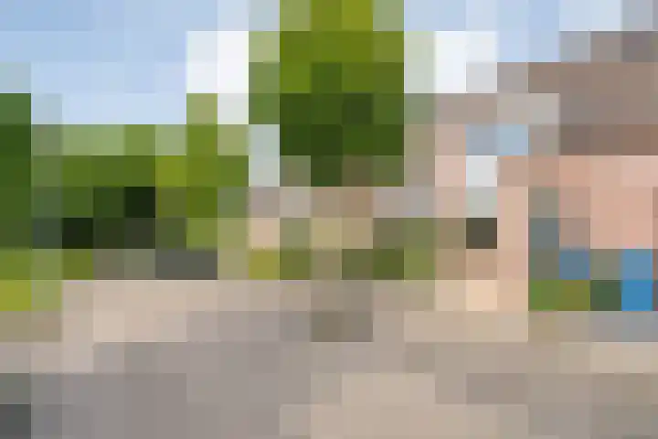 Snavel van Emekamp 10 Zwolle thumbnail 30