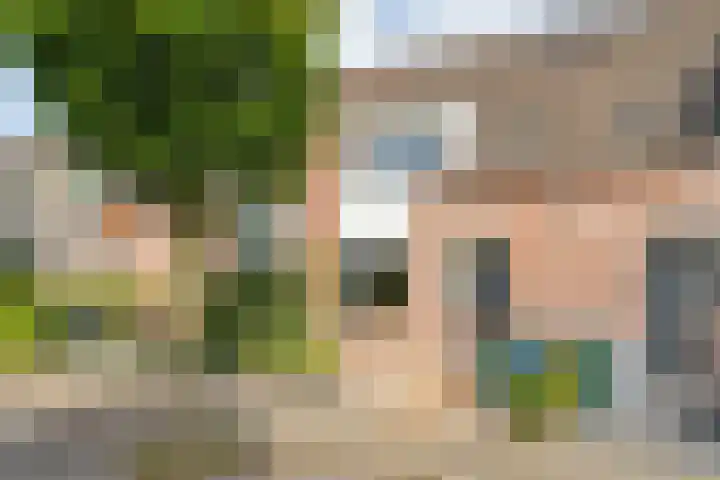 Snavel van Emekamp 10 Zwolle thumbnail 31