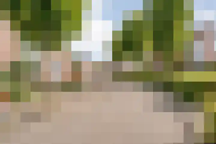 Snavel van Emekamp 10 Zwolle thumbnail 32