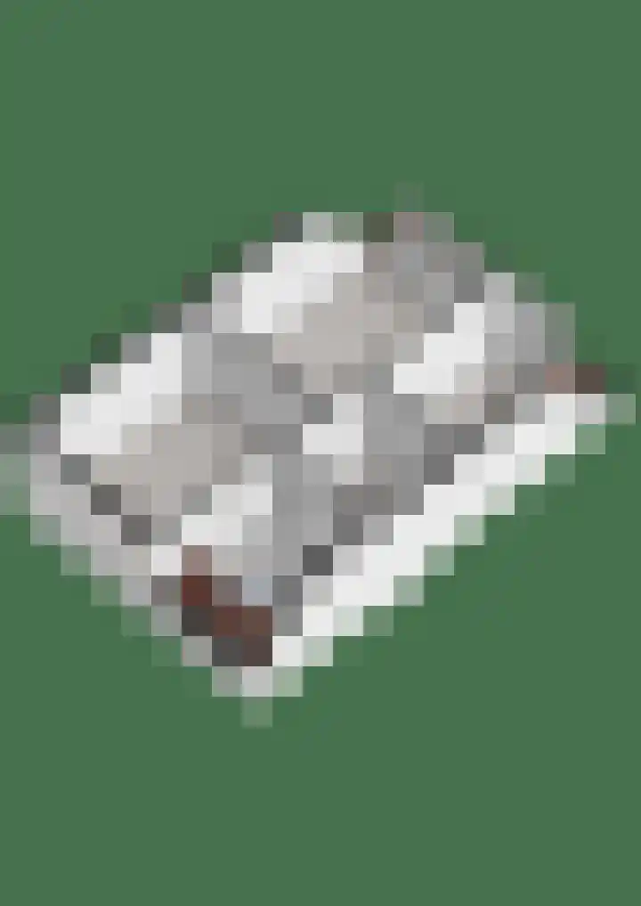 Snavel van Emekamp 10 Zwolle thumbnail 38