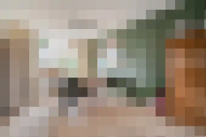 Snavel van Emekamp 10 Zwolle thumbnail 5