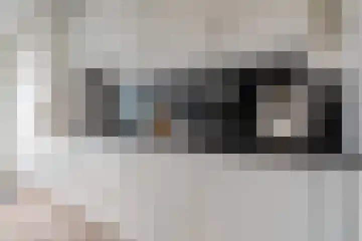 Snavel van Emekamp 10 Zwolle thumbnail 6