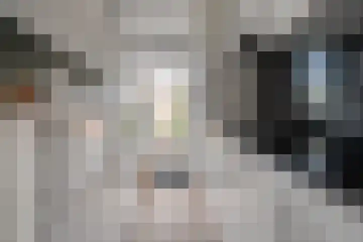 Snavel van Emekamp 10 Zwolle thumbnail 7