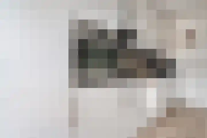 Snavel van Emekamp 10 Zwolle thumbnail 8