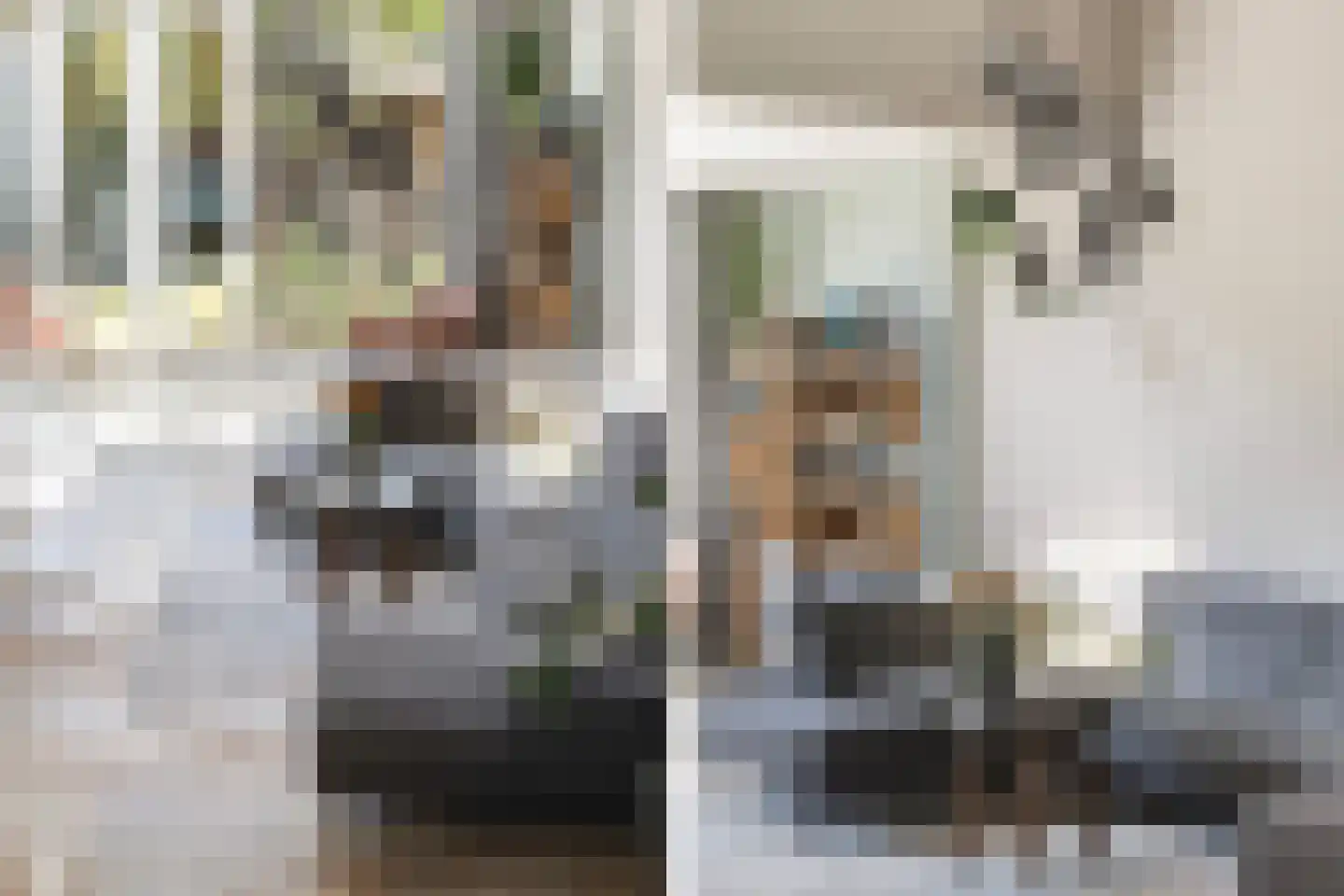 Snavel van Emekamp 34 Zwolle thumbnail 10