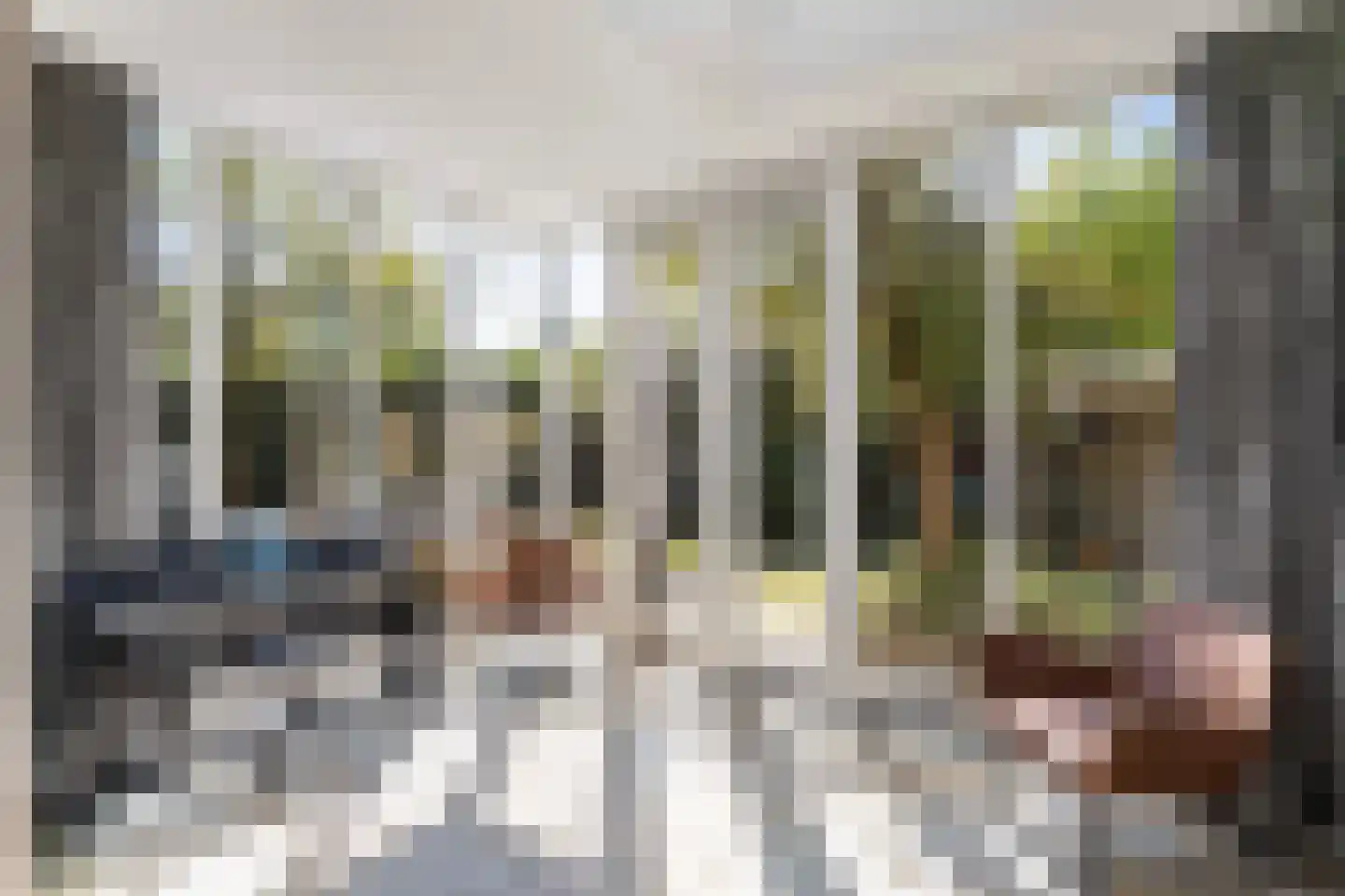 Snavel van Emekamp 34 Zwolle thumbnail 13