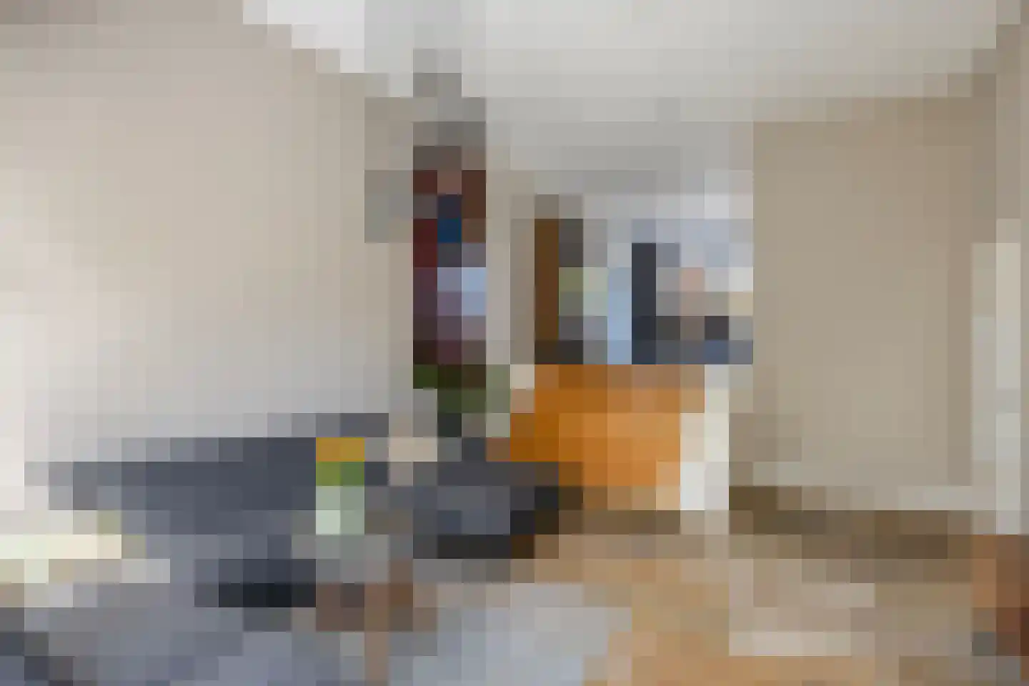 Snavel van Emekamp 34 Zwolle thumbnail 14