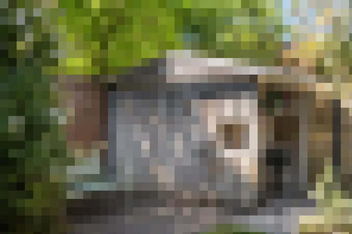 Snavel van Emekamp 34 Zwolle thumbnail 15