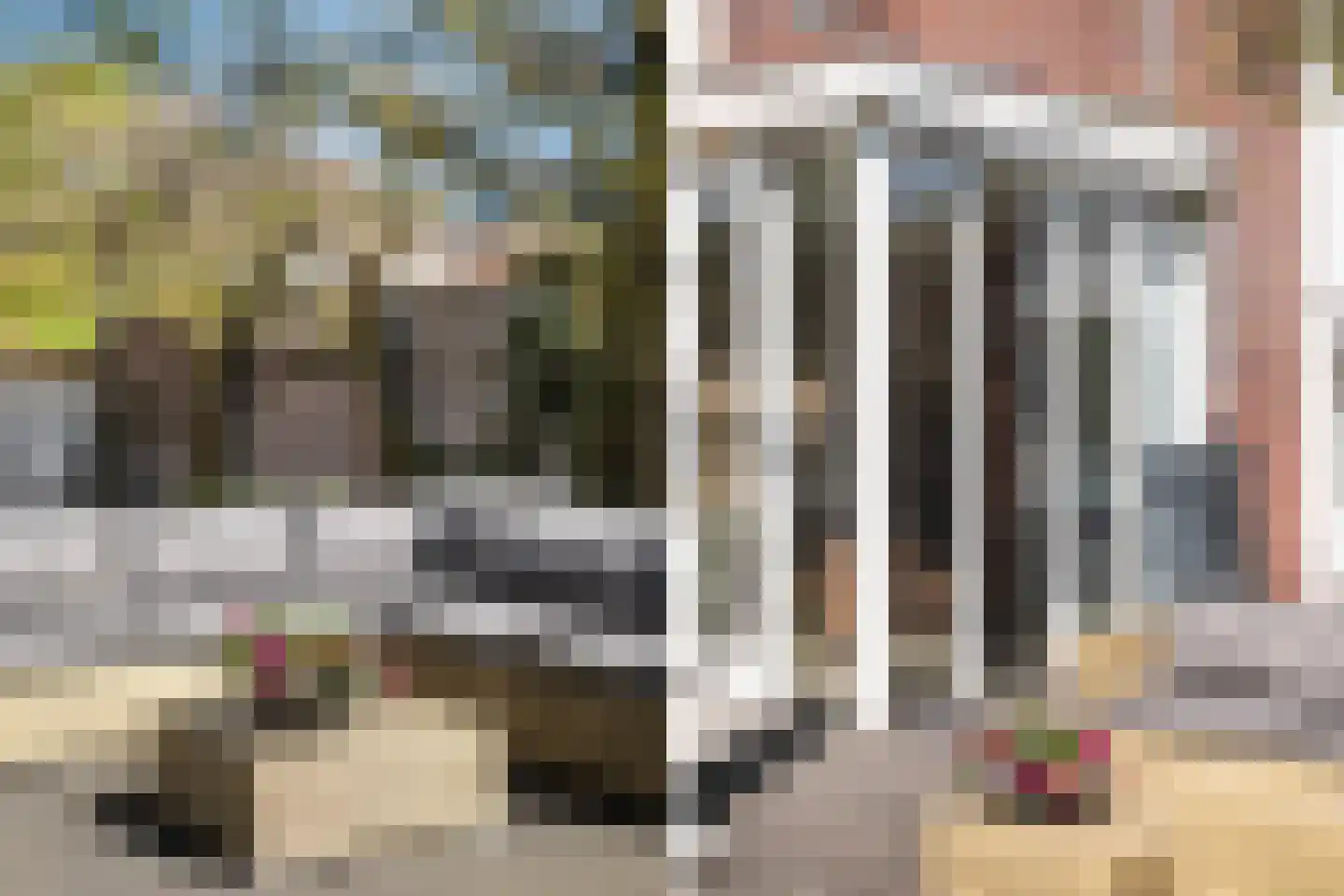 Snavel van Emekamp 34 Zwolle thumbnail 17