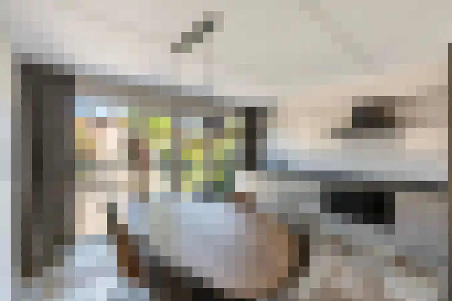 Snavel van Emekamp 34 Zwolle thumbnail 19