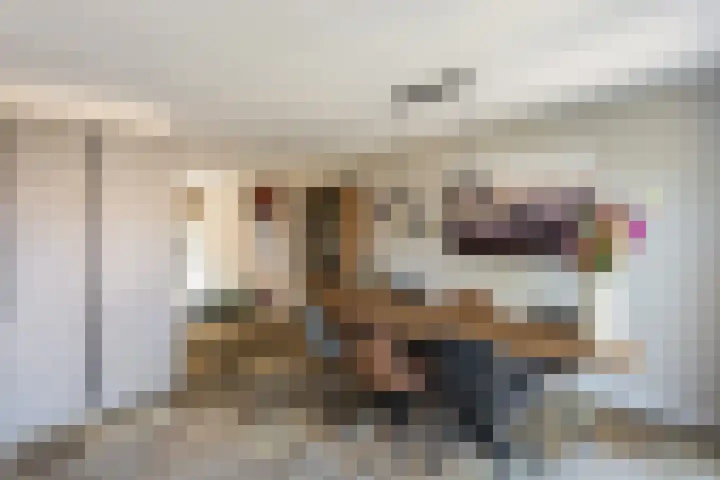 Snavel van Emekamp 34 Zwolle thumbnail 20