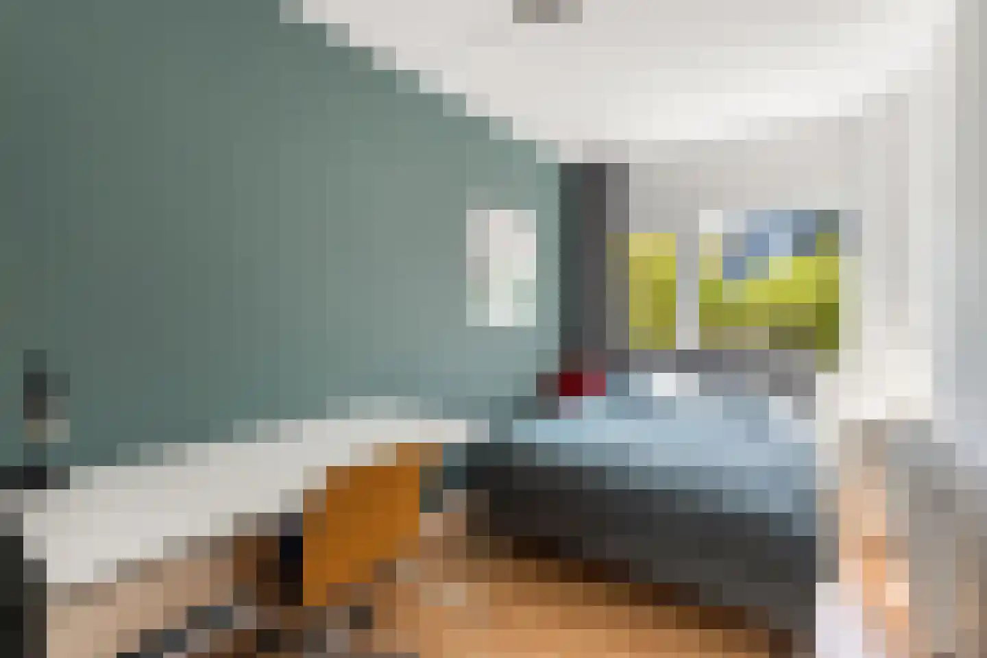 Snavel van Emekamp 34 Zwolle thumbnail 28