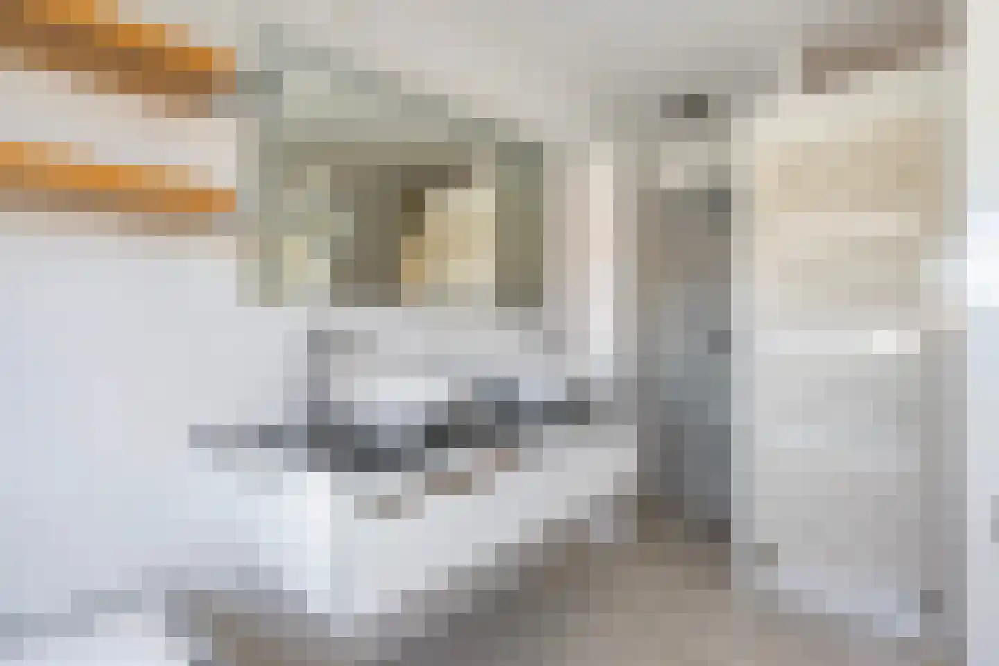 Snavel van Emekamp 34 Zwolle thumbnail 30