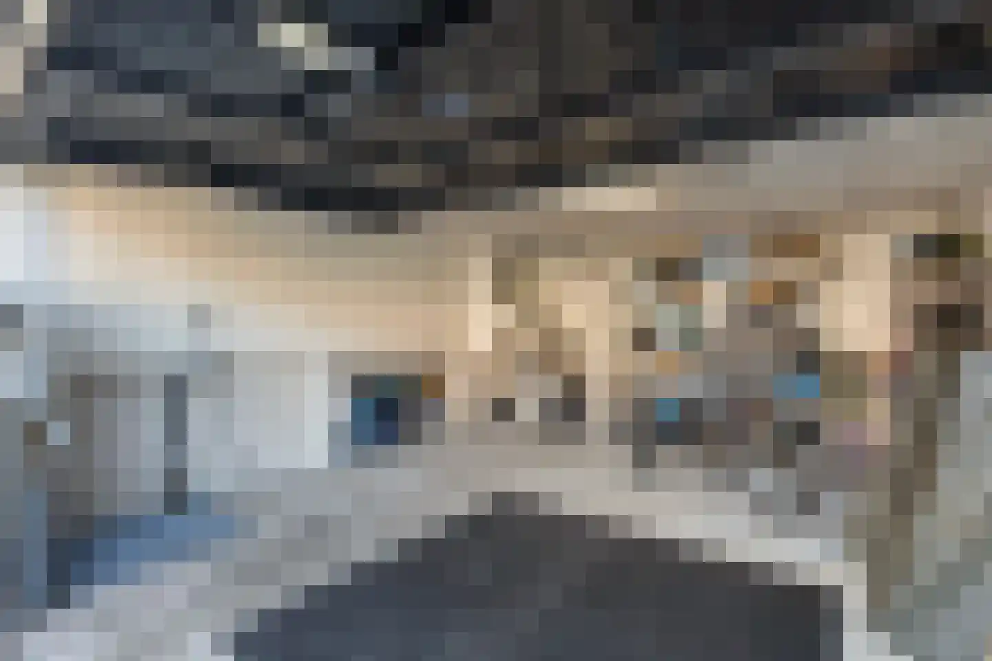 Snavel van Emekamp 34 Zwolle thumbnail 32