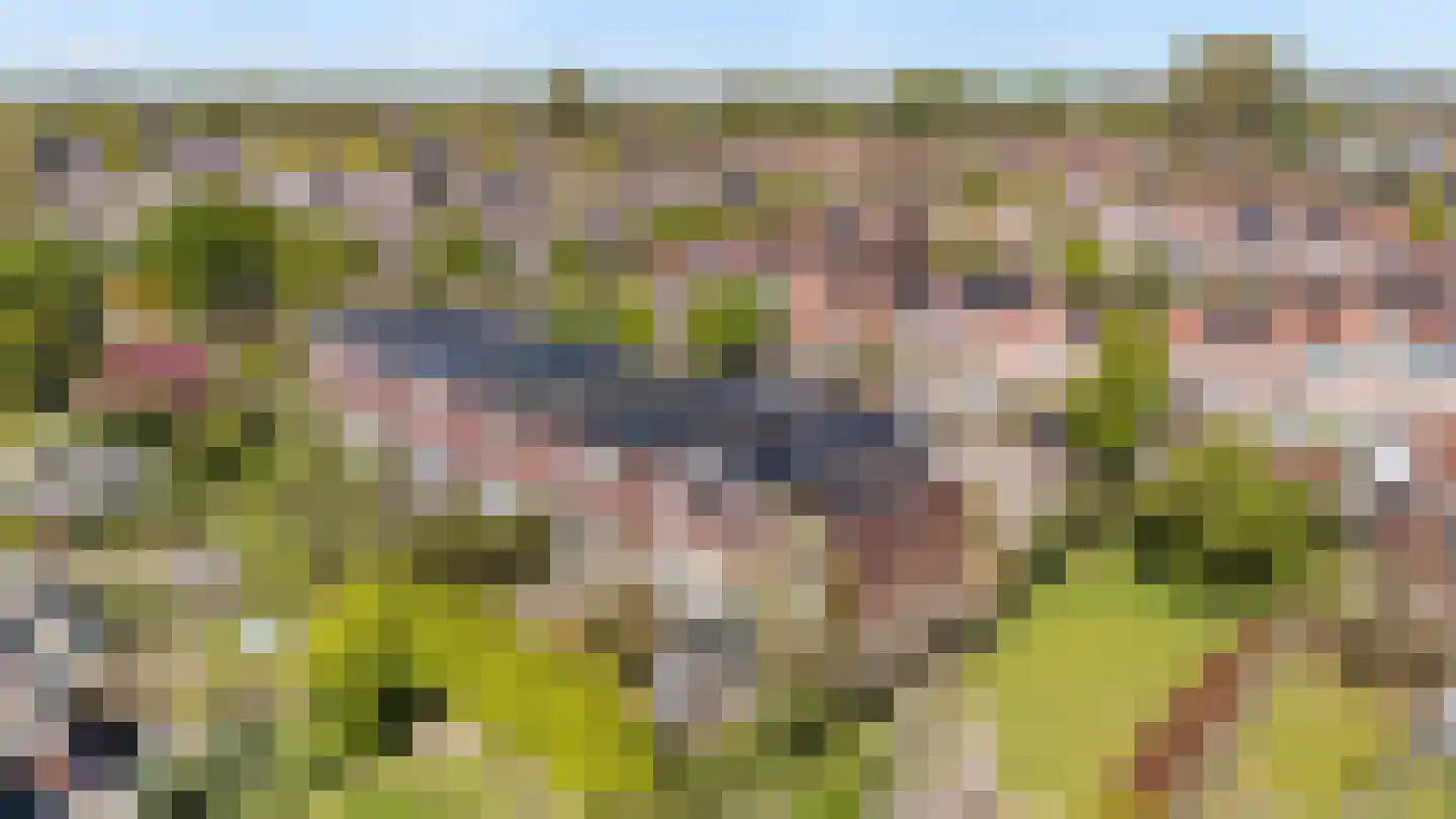 Snavel van Emekamp 34 Zwolle thumbnail 33
