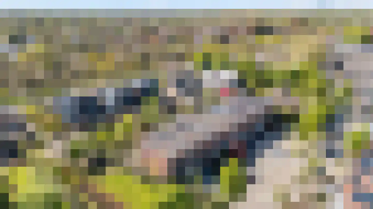 Snavel van Emekamp 34 Zwolle thumbnail 34