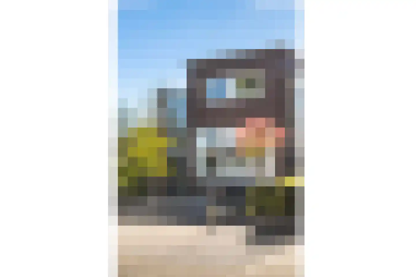 Snavel van Emekamp 34 Zwolle thumbnail 4