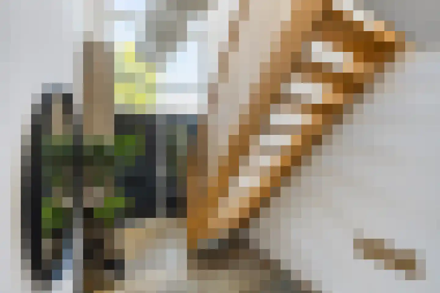 Snavel van Emekamp 34 Zwolle thumbnail 6