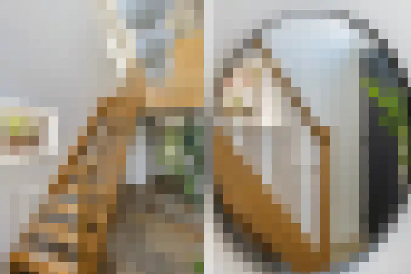 Snavel van Emekamp 34 Zwolle thumbnail 7