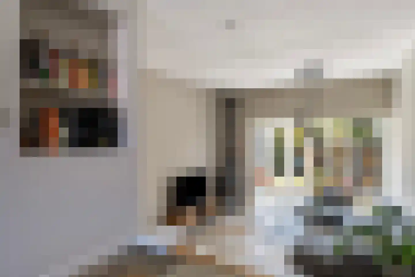 Snavel van Emekamp 34 Zwolle thumbnail 9