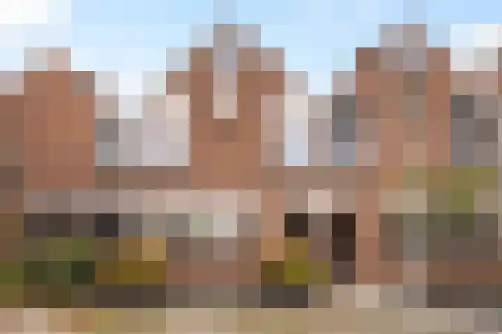 Snavel van Emekamp 39 Zwolle