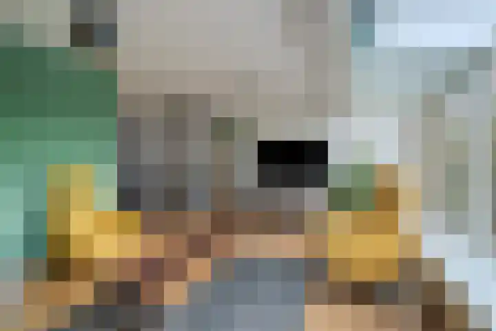 Snavel van Emekamp 39 Zwolle thumbnail 10