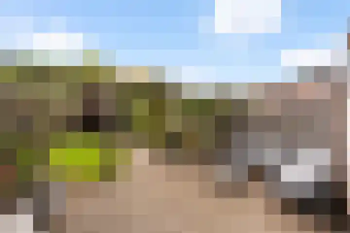 Snavel van Emekamp 39 Zwolle thumbnail 11