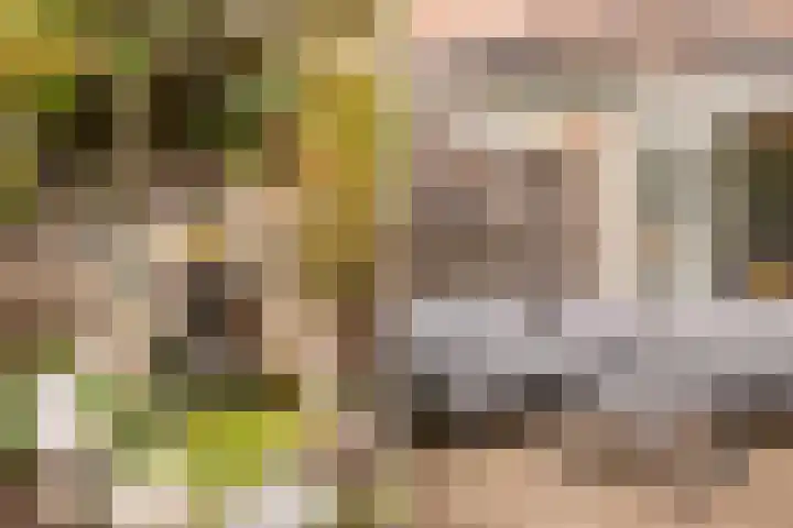 Snavel van Emekamp 39 Zwolle thumbnail 12