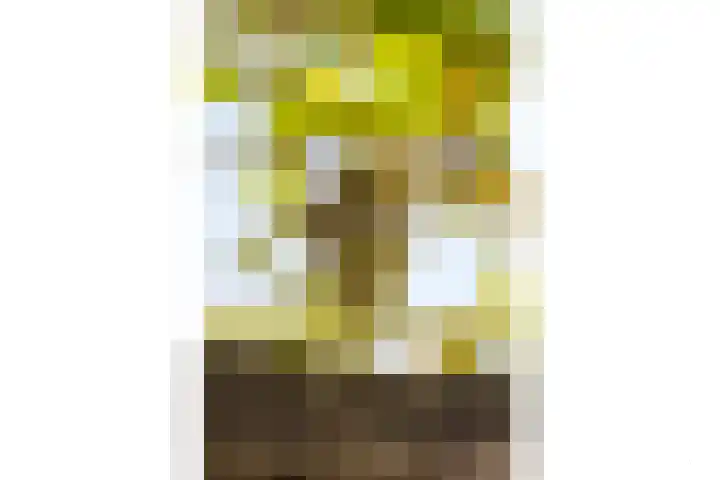 Snavel van Emekamp 39 Zwolle thumbnail 13