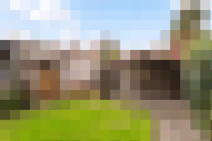 Snavel van Emekamp 39 Zwolle thumbnail 14