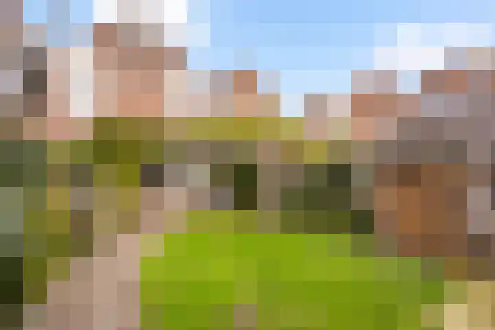 Snavel van Emekamp 39 Zwolle thumbnail 15