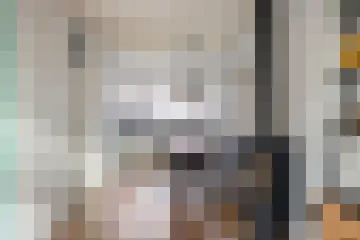 Snavel van Emekamp 39 Zwolle thumbnail 16