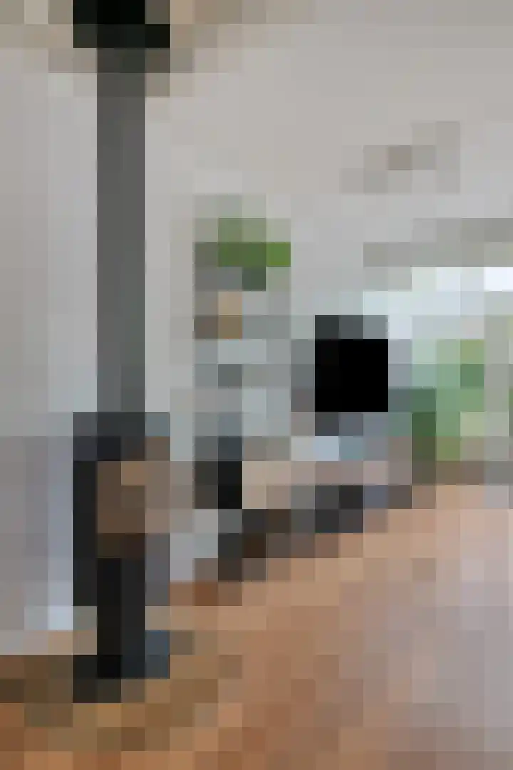 Snavel van Emekamp 39 Zwolle thumbnail 17