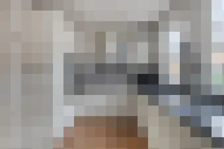 Snavel van Emekamp 39 Zwolle thumbnail 20
