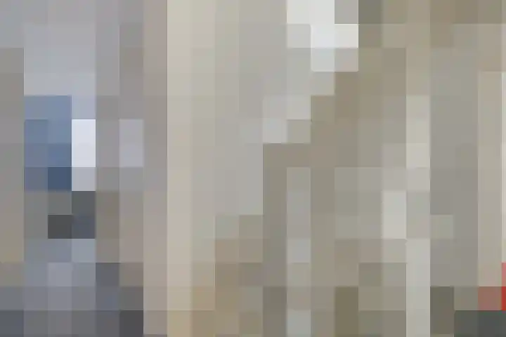Snavel van Emekamp 39 Zwolle thumbnail 22