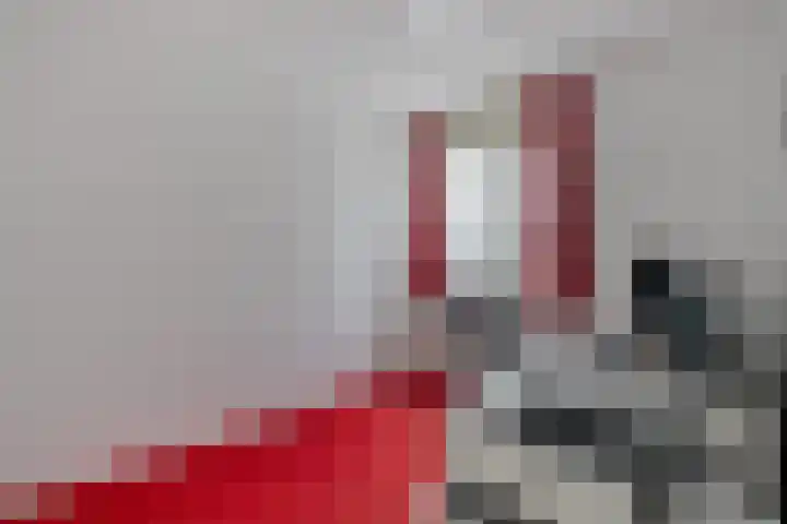 Snavel van Emekamp 39 Zwolle thumbnail 23