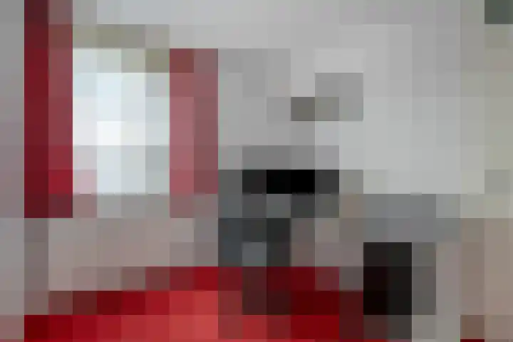 Snavel van Emekamp 39 Zwolle thumbnail 24