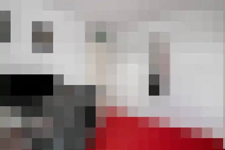 Snavel van Emekamp 39 Zwolle thumbnail 25