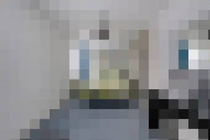 Snavel van Emekamp 39 Zwolle thumbnail 26