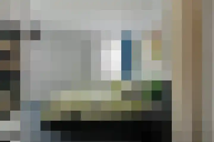 Snavel van Emekamp 39 Zwolle thumbnail 29