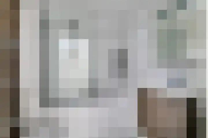 Snavel van Emekamp 39 Zwolle thumbnail 31