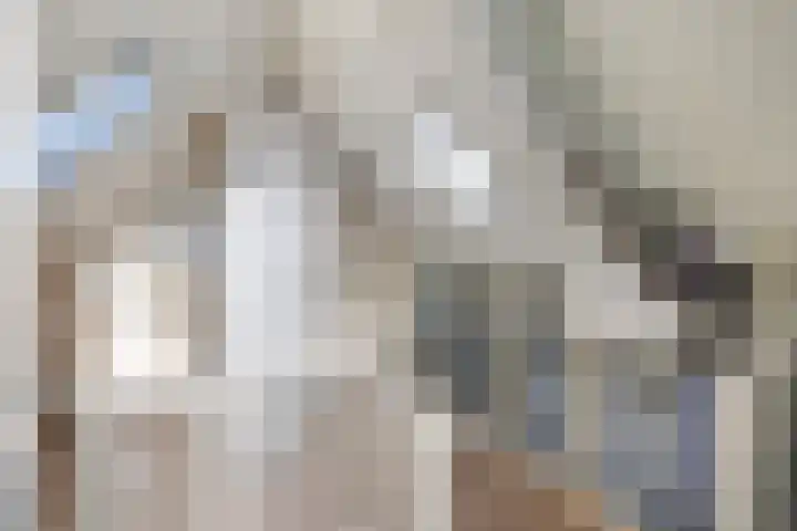 Snavel van Emekamp 39 Zwolle thumbnail 33
