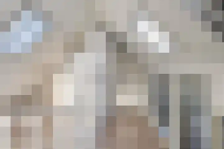 Snavel van Emekamp 39 Zwolle thumbnail 34