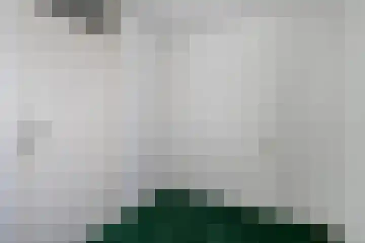 Snavel van Emekamp 39 Zwolle thumbnail 36